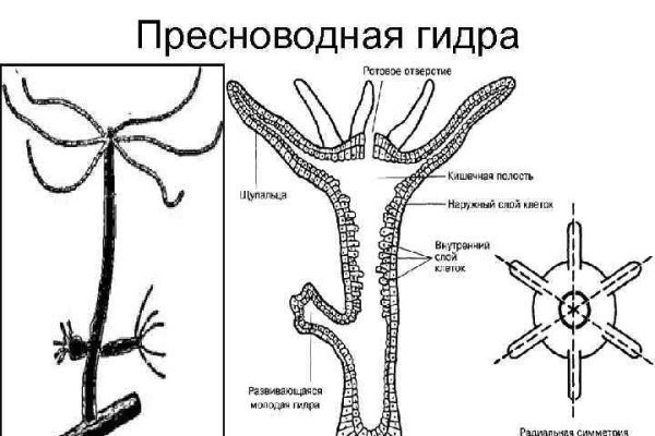 Кракен 2krnk cc